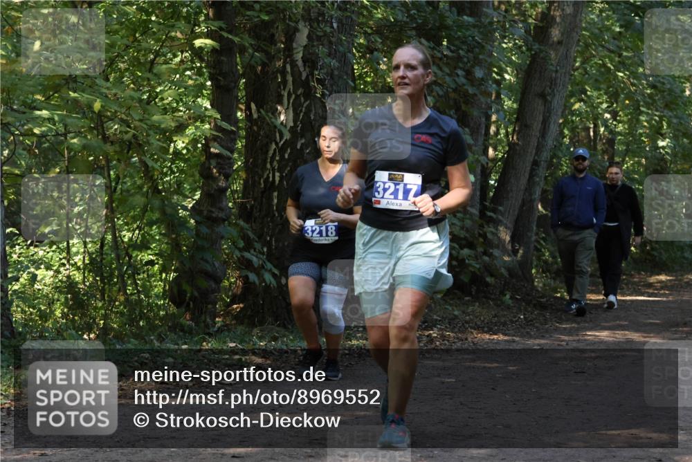 28.09.2025 - 33. Volkslauf durch das schöne Alstertal Strokosch-Dieckow http://msf.ph/oto/8969552 28.09.2025 11:30:18 Laufen 3218, 3217 meine-sportfotos.de