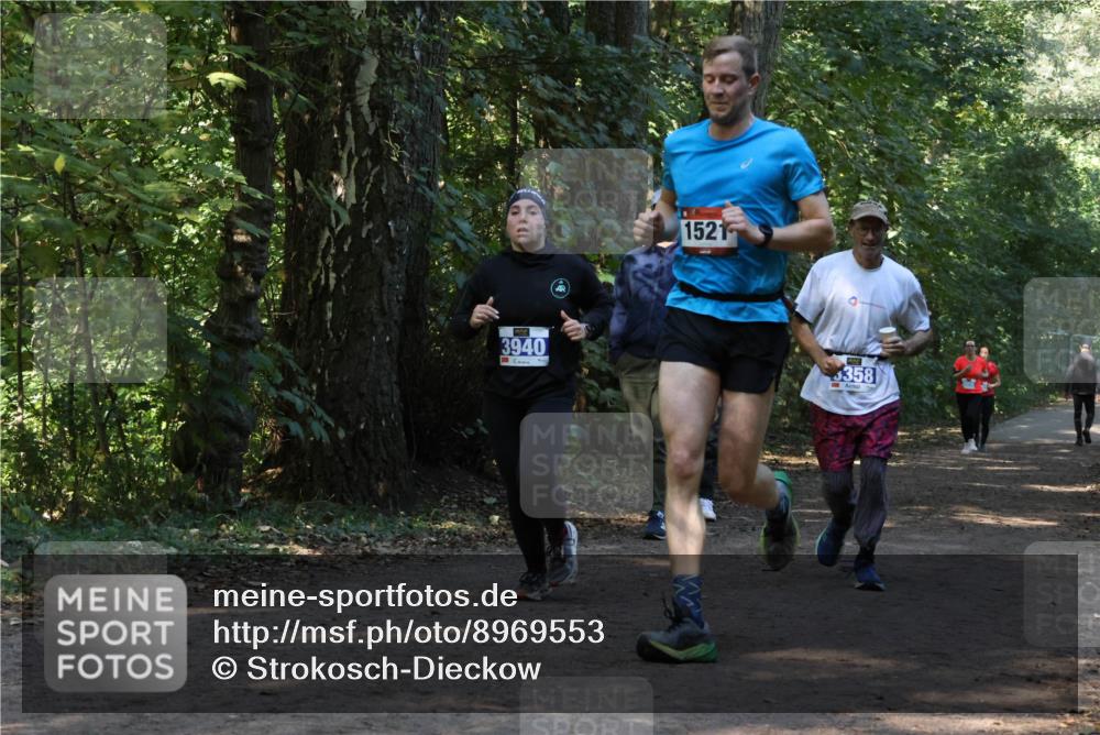 28.09.2025 - 33. Volkslauf durch das schöne Alstertal Strokosch-Dieckow http://msf.ph/oto/8969553 28.09.2025 11:30:24 Laufen 3940, 1521, 358 meine-sportfotos.de