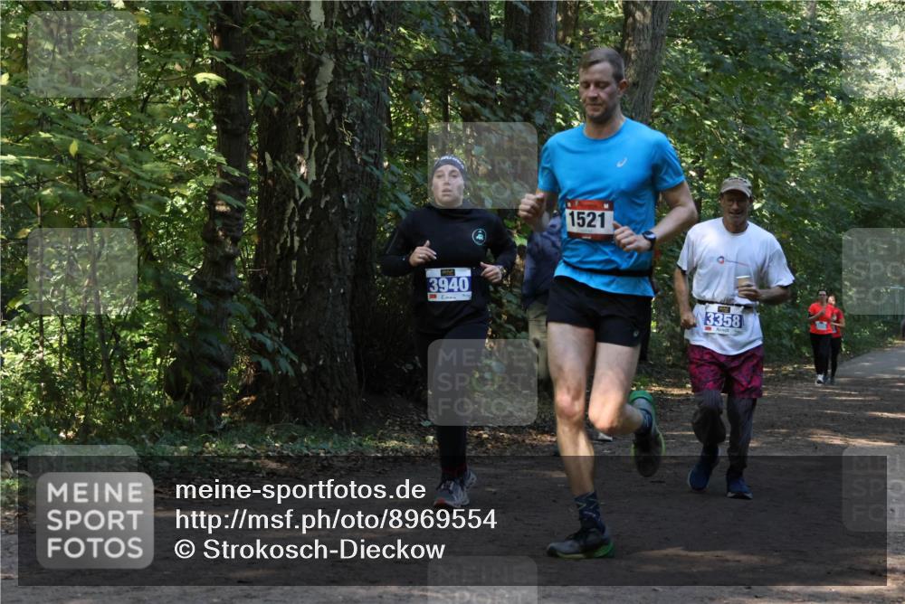 28.09.2025 - 33. Volkslauf durch das schöne Alstertal Strokosch-Dieckow http://msf.ph/oto/8969554 28.09.2025 11:30:24 Laufen 3940, 1521, 3358 meine-sportfotos.de