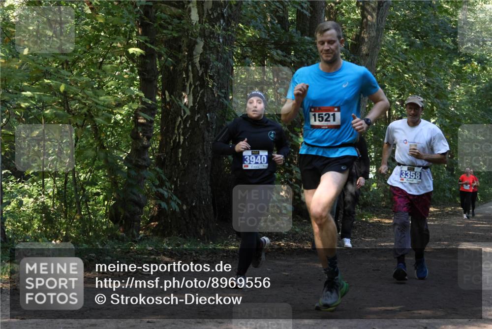 28.09.2025 - 33. Volkslauf durch das schöne Alstertal Strokosch-Dieckow http://msf.ph/oto/8969556 28.09.2025 11:30:25 Laufen 3940, 1521, 3358 meine-sportfotos.de
