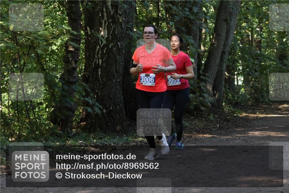 28.09.2025 - 33. Volkslauf durch das schöne Alstertal Strokosch-Dieckow http://msf.ph/oto/8969562 28.09.2025 11:30:37 Laufen 3006, 3059 meine-sportfotos.de