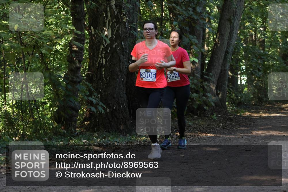 28.09.2025 - 33. Volkslauf durch das schöne Alstertal Strokosch-Dieckow http://msf.ph/oto/8969563 28.09.2025 11:30:37 Laufen 3006, 3059 meine-sportfotos.de