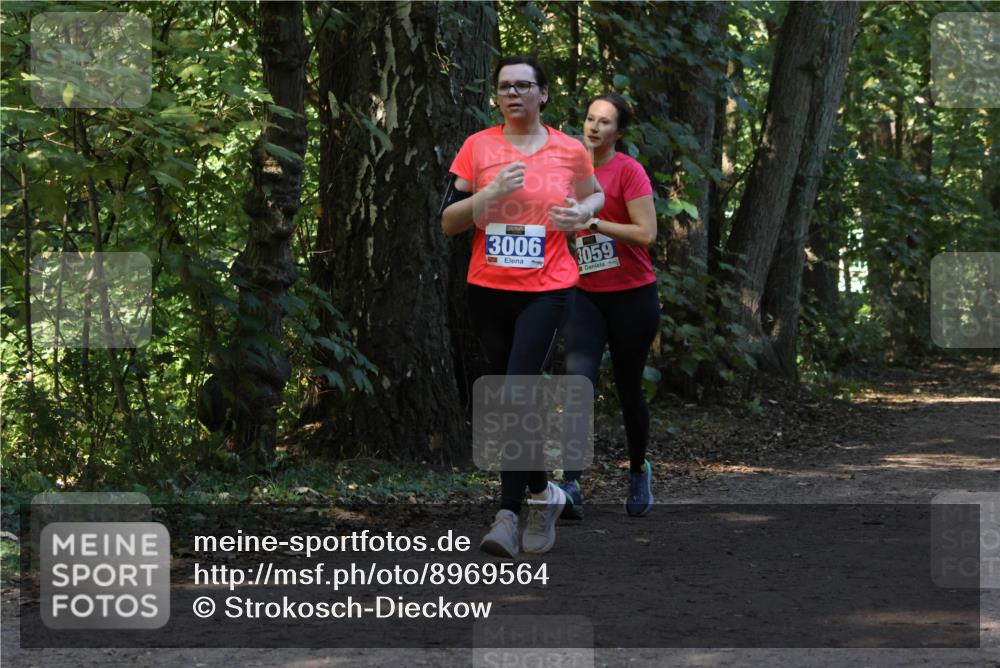 28.09.2025 - 33. Volkslauf durch das schöne Alstertal Strokosch-Dieckow http://msf.ph/oto/8969564 28.09.2025 11:30:37 Laufen 3006, 3059 meine-sportfotos.de