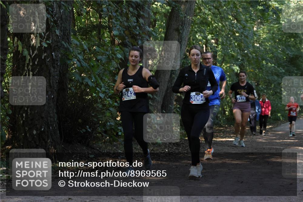 28.09.2025 - 33. Volkslauf durch das schöne Alstertal Strokosch-Dieckow http://msf.ph/oto/8969565 28.09.2025 11:30:59 Laufen 7, 3242, 3064, 3129 meine-sportfotos.de