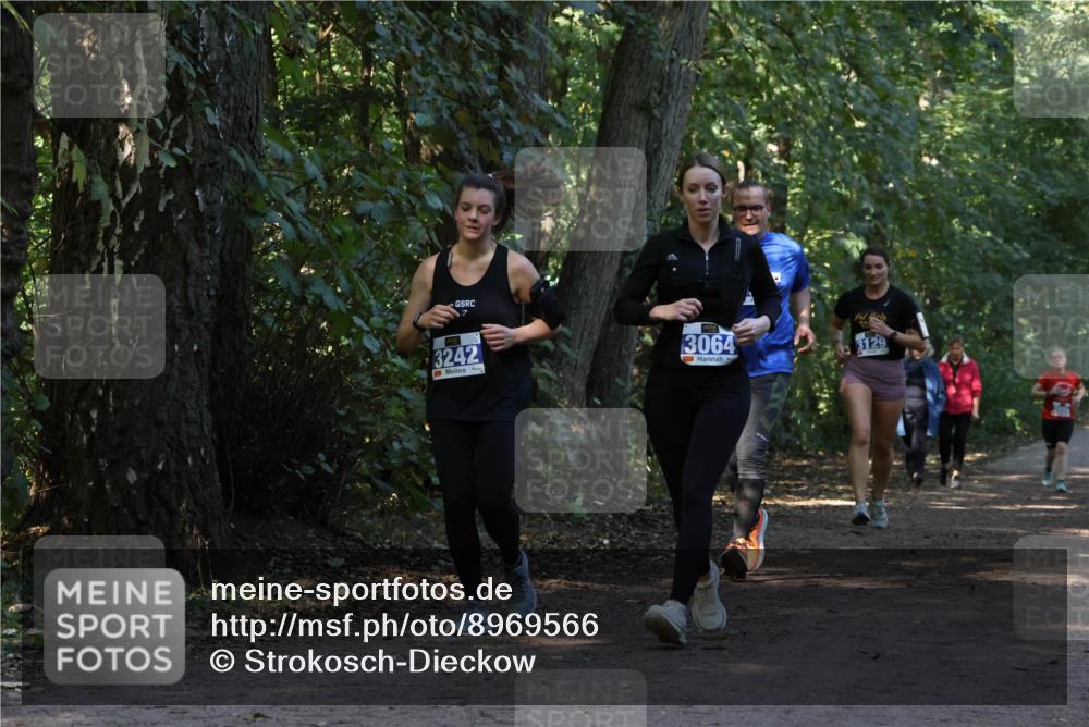 28.09.2025 - 33. Volkslauf durch das schöne Alstertal Strokosch-Dieckow http://msf.ph/oto/8969566 28.09.2025 11:30:59 Laufen 3242, 3064, 3129 meine-sportfotos.de