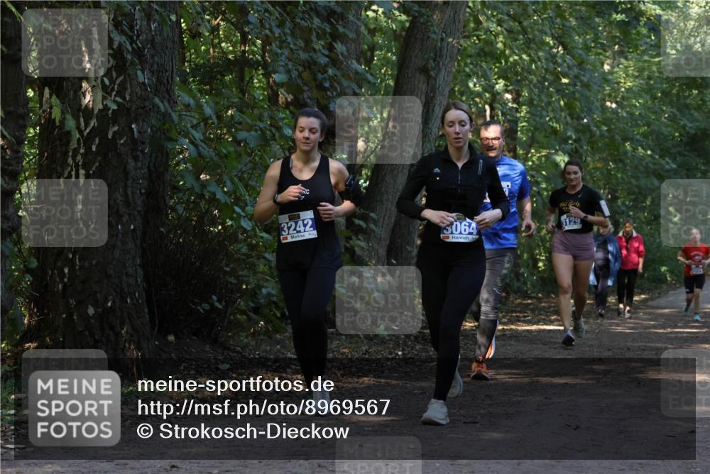 28.09.2025 - 33. Volkslauf durch das schöne Alstertal Strokosch-Dieckow http://msf.ph/oto/8969567 28.09.2025 11:30:59 Laufen 3242, 3064, 3129 meine-sportfotos.de