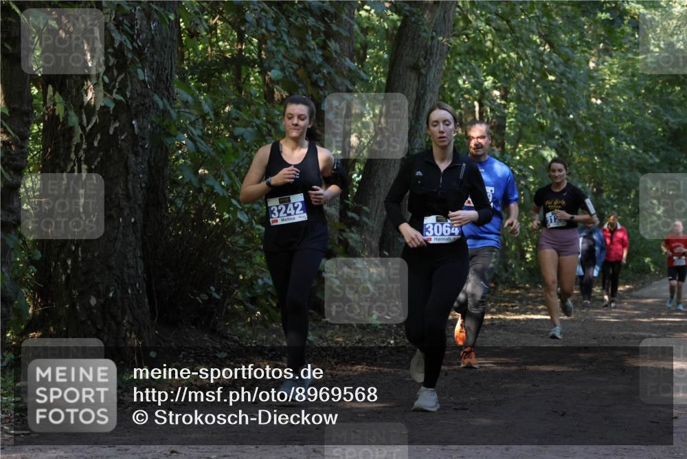 28.09.2025 - 33. Volkslauf durch das schöne Alstertal Strokosch-Dieckow http://msf.ph/oto/8969568 28.09.2025 11:30:59 Laufen 3242, 3064 meine-sportfotos.de