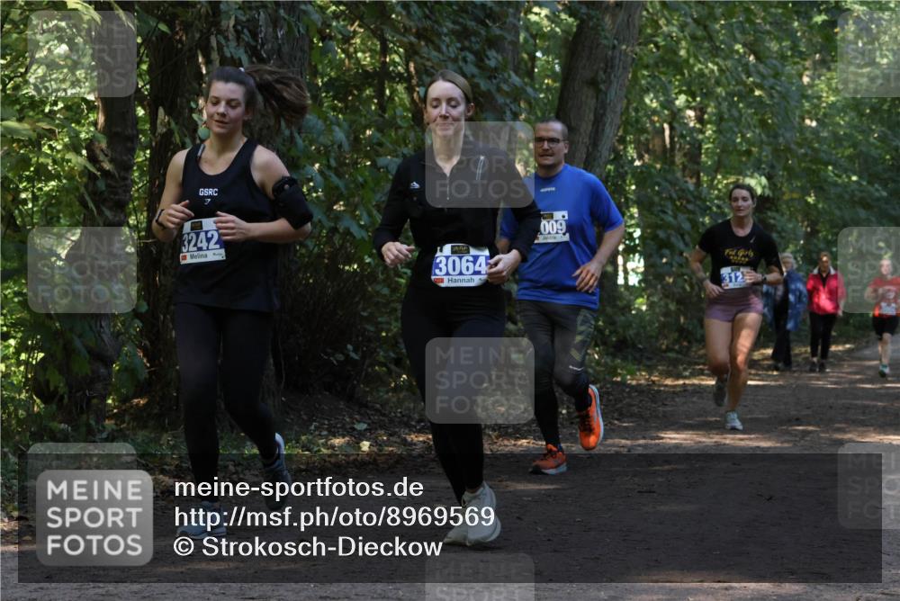 28.09.2025 - 33. Volkslauf durch das schöne Alstertal Strokosch-Dieckow http://msf.ph/oto/8969569 28.09.2025 11:31:01 Laufen 3242, 3064, 009, 312 meine-sportfotos.de