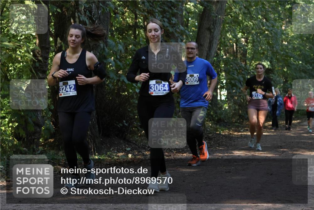 28.09.2025 - 33. Volkslauf durch das schöne Alstertal Strokosch-Dieckow http://msf.ph/oto/8969570 28.09.2025 11:31:01 Laufen 3242, 3064, 3009, 3129 meine-sportfotos.de