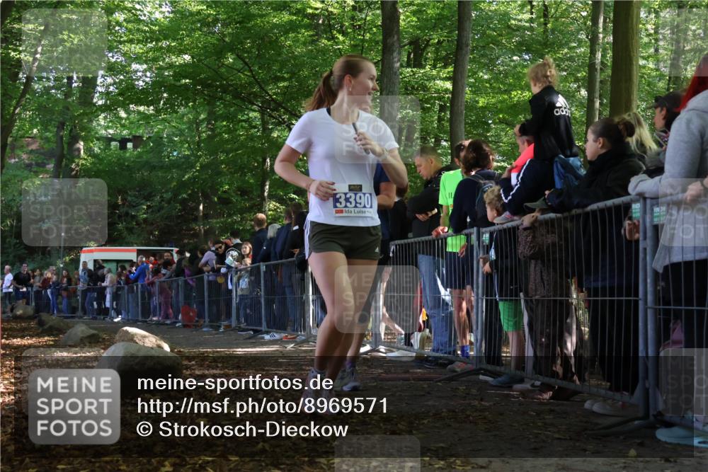 28.09.2025 - 33. Volkslauf durch das schöne Alstertal Strokosch-Dieckow http://msf.ph/oto/8969571 28.09.2025 11:50:17 Ziel 1614, 3389, 3390 meine-sportfotos.de