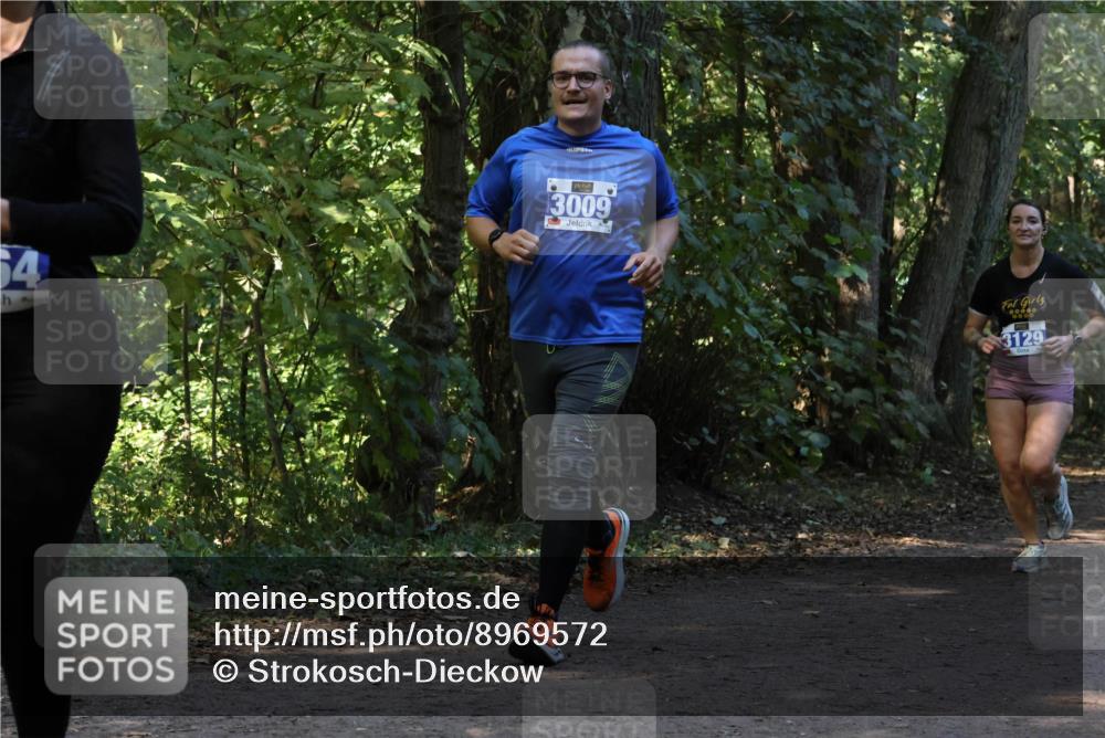 28.09.2025 - 33. Volkslauf durch das schöne Alstertal Strokosch-Dieckow http://msf.ph/oto/8969572 28.09.2025 11:31:02 Laufen 64, 3009, 0000, 3129 meine-sportfotos.de