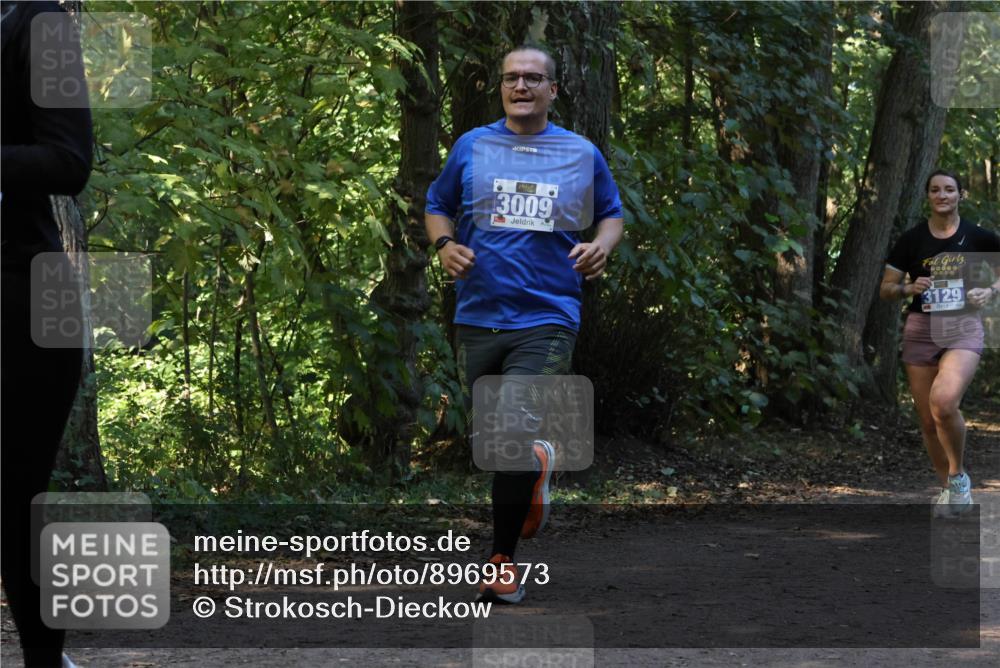 28.09.2025 - 33. Volkslauf durch das schöne Alstertal Strokosch-Dieckow http://msf.ph/oto/8969573 28.09.2025 11:31:02 Laufen 3009, 3129 meine-sportfotos.de