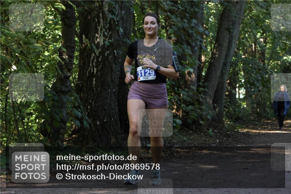 28.09.2025 - 33. Volkslauf durch das schöne Alstertal Strokosch-Dieckow http://msf.ph/oto/8969578 28.09.2025 11:31:04 Laufen 0, 3129 meine-sportfotos.de