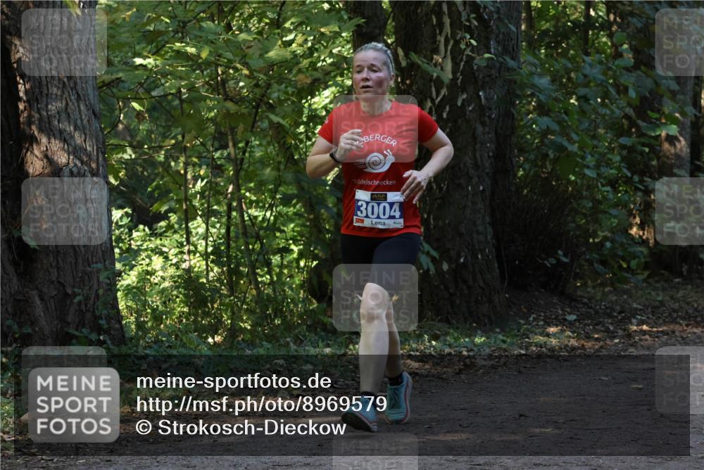 28.09.2025 - 33. Volkslauf durch das schöne Alstertal Strokosch-Dieckow http://msf.ph/oto/8969579 28.09.2025 11:31:12 Laufen 3004 meine-sportfotos.de