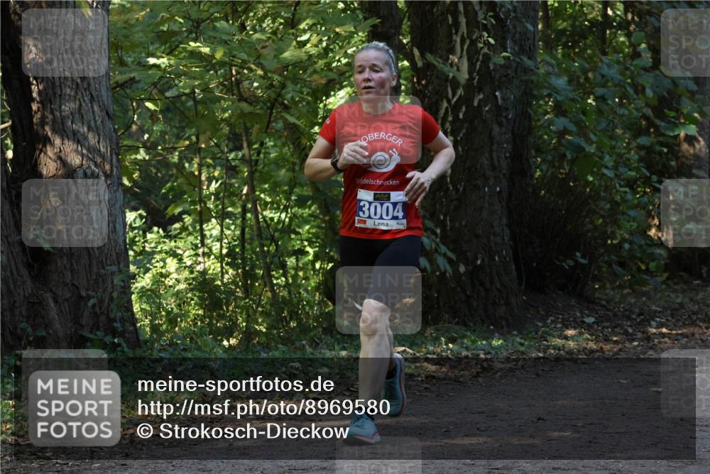 28.09.2025 - 33. Volkslauf durch das schöne Alstertal Strokosch-Dieckow http://msf.ph/oto/8969580 28.09.2025 11:31:12 Laufen 3004 meine-sportfotos.de