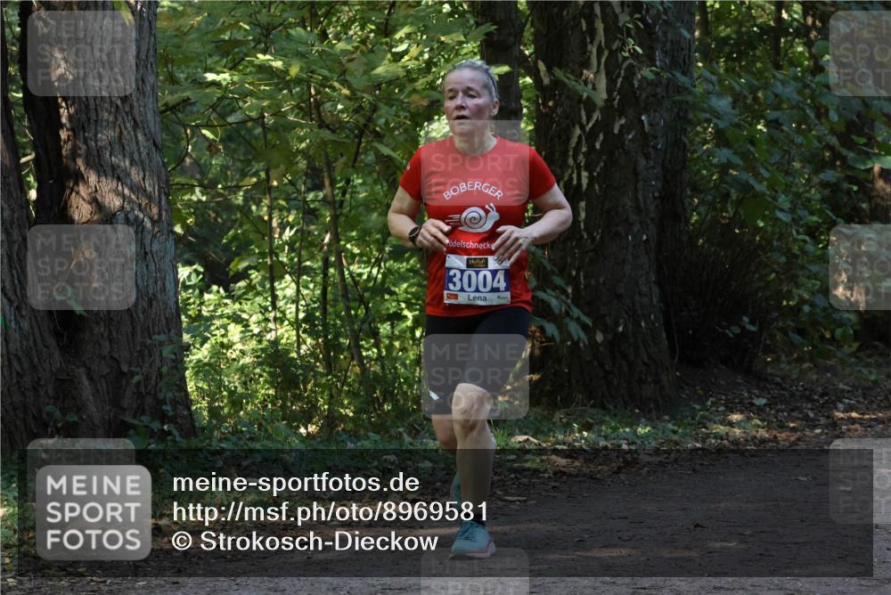 28.09.2025 - 33. Volkslauf durch das schöne Alstertal Strokosch-Dieckow http://msf.ph/oto/8969581 28.09.2025 11:31:12 Laufen 3004 meine-sportfotos.de