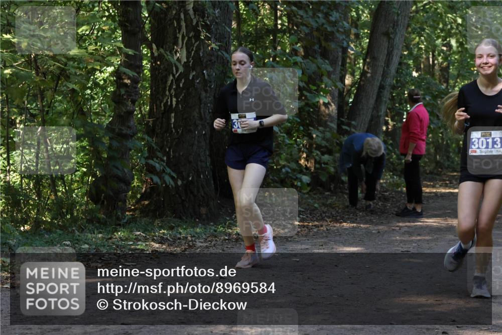 28.09.2025 - 33. Volkslauf durch das schöne Alstertal Strokosch-Dieckow http://msf.ph/oto/8969584 28.09.2025 11:31:23 Laufen 31, 3013 meine-sportfotos.de