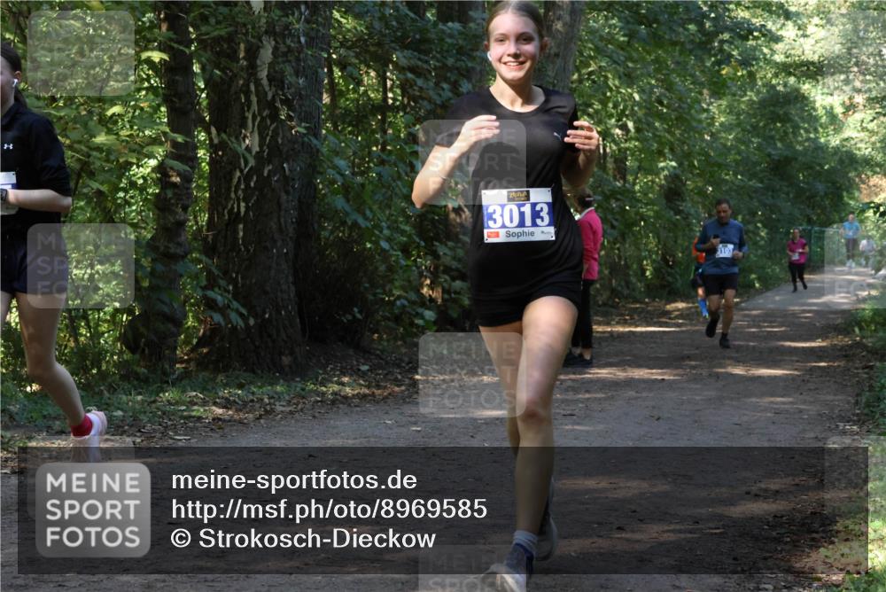 28.09.2025 - 33. Volkslauf durch das schöne Alstertal Strokosch-Dieckow http://msf.ph/oto/8969585 28.09.2025 11:31:24 Laufen 3013, 9, 3103 meine-sportfotos.de