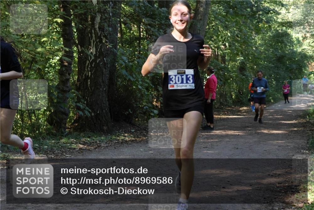 28.09.2025 - 33. Volkslauf durch das schöne Alstertal Strokosch-Dieckow http://msf.ph/oto/8969586 28.09.2025 11:31:24 Laufen 3013 meine-sportfotos.de