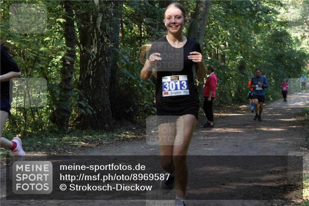 28.09.2025 - 33. Volkslauf durch das schöne Alstertal Strokosch-Dieckow http://msf.ph/oto/8969587 28.09.2025 11:31:24 Laufen 3013, 3103 meine-sportfotos.de