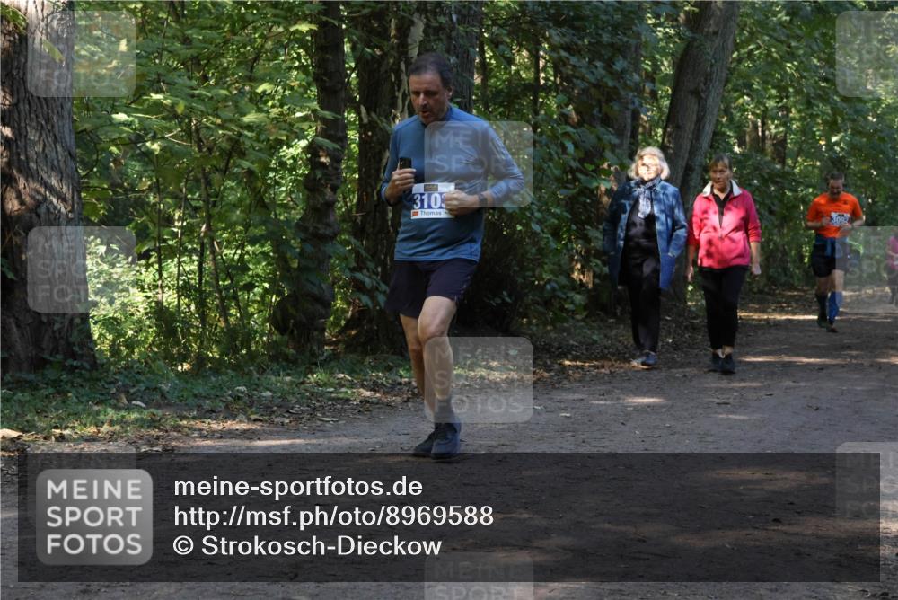 28.09.2025 - 33. Volkslauf durch das schöne Alstertal Strokosch-Dieckow http://msf.ph/oto/8969588 28.09.2025 11:31:30 Laufen 310, 3092 meine-sportfotos.de