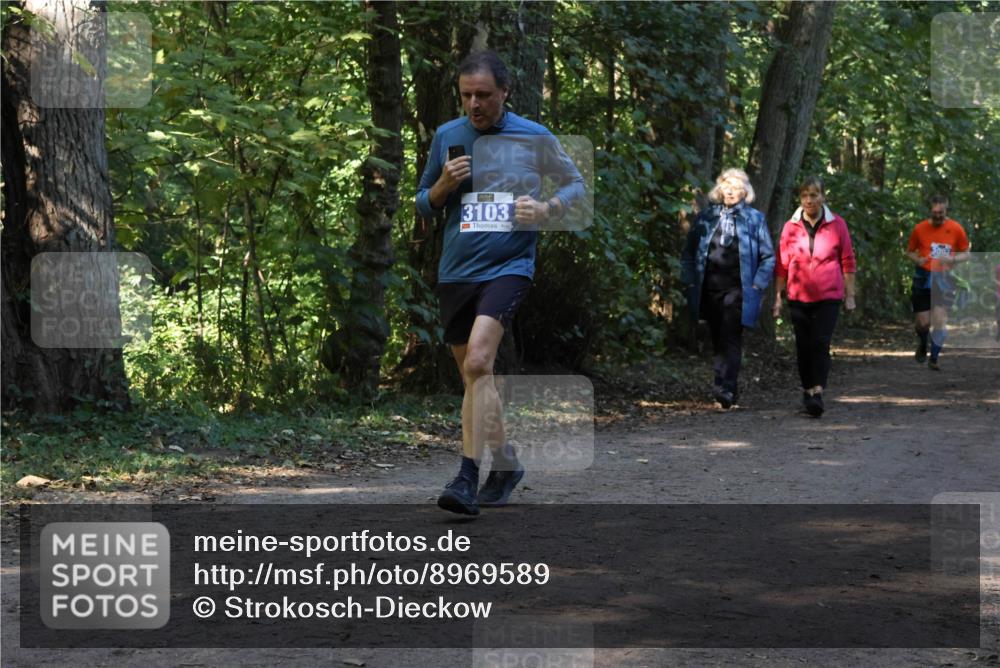 28.09.2025 - 33. Volkslauf durch das schöne Alstertal Strokosch-Dieckow http://msf.ph/oto/8969589 28.09.2025 11:31:30 Laufen 3103 meine-sportfotos.de
