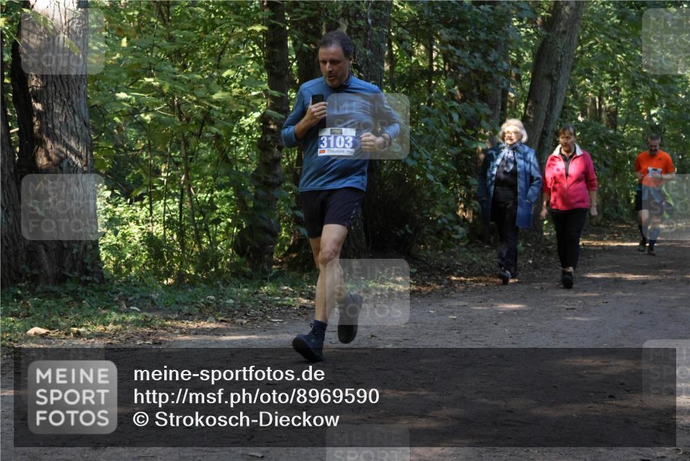 28.09.2025 - 33. Volkslauf durch das schöne Alstertal Strokosch-Dieckow http://msf.ph/oto/8969590 28.09.2025 11:31:30 Laufen 3103 meine-sportfotos.de