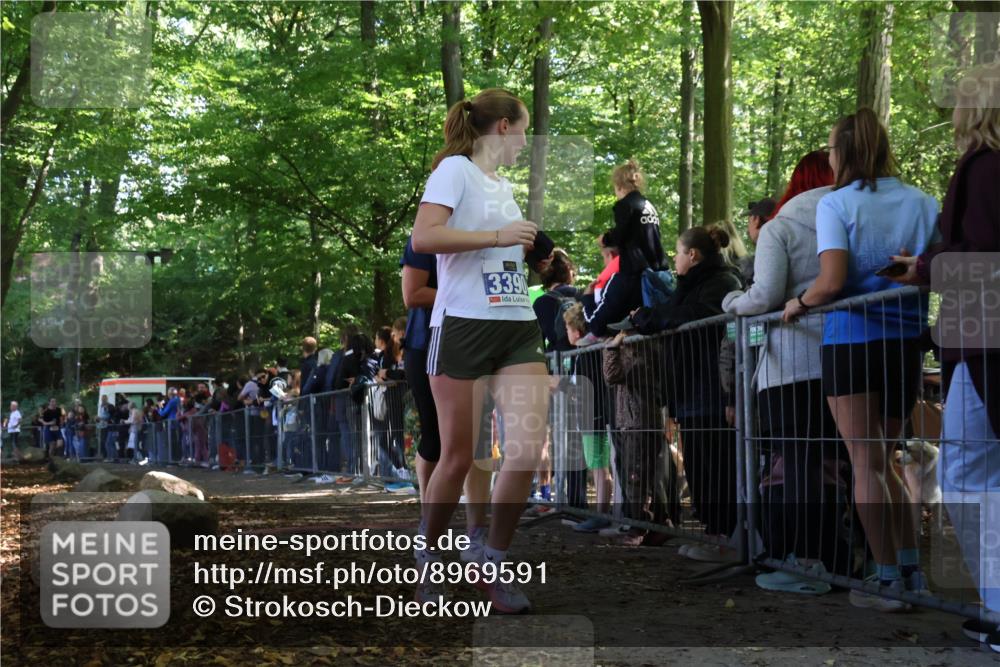 28.09.2025 - 33. Volkslauf durch das schöne Alstertal Strokosch-Dieckow http://msf.ph/oto/8969591 28.09.2025 11:50:17 Ziel 1614, 3389, 3390 meine-sportfotos.de