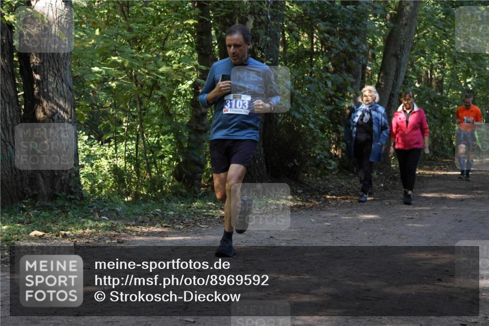 28.09.2025 - 33. Volkslauf durch das schöne Alstertal Strokosch-Dieckow http://msf.ph/oto/8969592 28.09.2025 11:31:30 Laufen 3103 meine-sportfotos.de