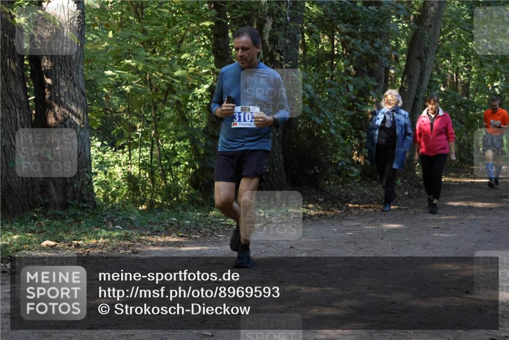 28.09.2025 - 33. Volkslauf durch das schöne Alstertal Strokosch-Dieckow http://msf.ph/oto/8969593 28.09.2025 11:31:30 Laufen 3103 meine-sportfotos.de
