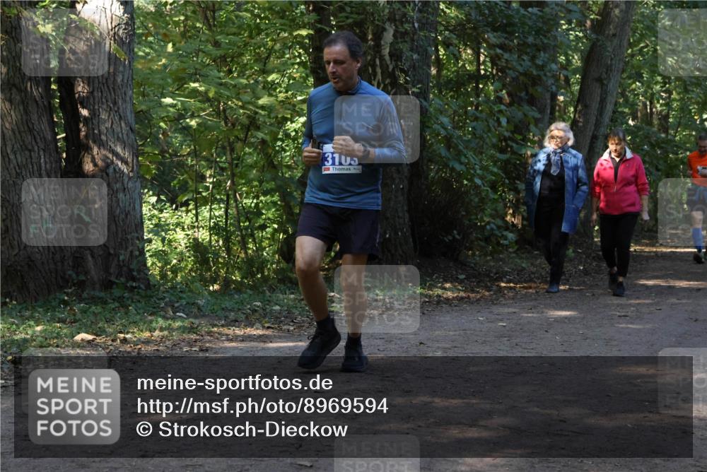 28.09.2025 - 33. Volkslauf durch das schöne Alstertal Strokosch-Dieckow http://msf.ph/oto/8969594 28.09.2025 11:31:30 Laufen 3103 meine-sportfotos.de