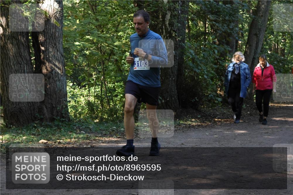 28.09.2025 - 33. Volkslauf durch das schöne Alstertal Strokosch-Dieckow http://msf.ph/oto/8969595 28.09.2025 11:31:30 Laufen 3103 meine-sportfotos.de