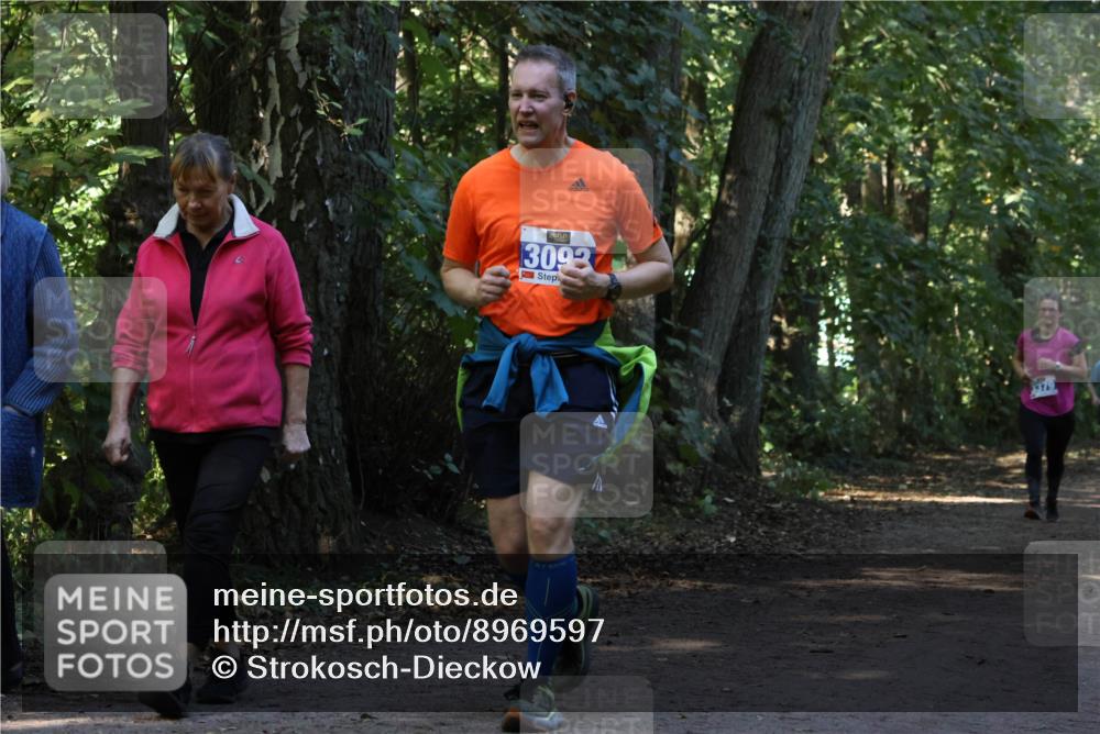 28.09.2025 - 33. Volkslauf durch das schöne Alstertal Strokosch-Dieckow http://msf.ph/oto/8969597 28.09.2025 11:31:36 Laufen 3093, 3379 meine-sportfotos.de