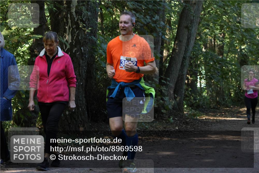 28.09.2025 - 33. Volkslauf durch das schöne Alstertal Strokosch-Dieckow http://msf.ph/oto/8969598 28.09.2025 11:31:36 Laufen 302, 3379 meine-sportfotos.de