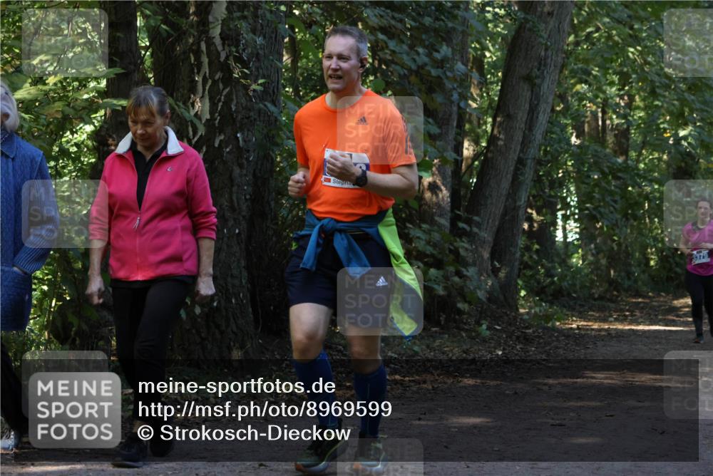 28.09.2025 - 33. Volkslauf durch das schöne Alstertal Strokosch-Dieckow http://msf.ph/oto/8969599 28.09.2025 11:31:36 Laufen  meine-sportfotos.de