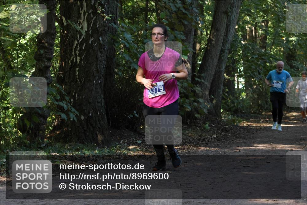 28.09.2025 - 33. Volkslauf durch das schöne Alstertal Strokosch-Dieckow http://msf.ph/oto/8969600 28.09.2025 11:31:42 Laufen 3379, 3086 meine-sportfotos.de