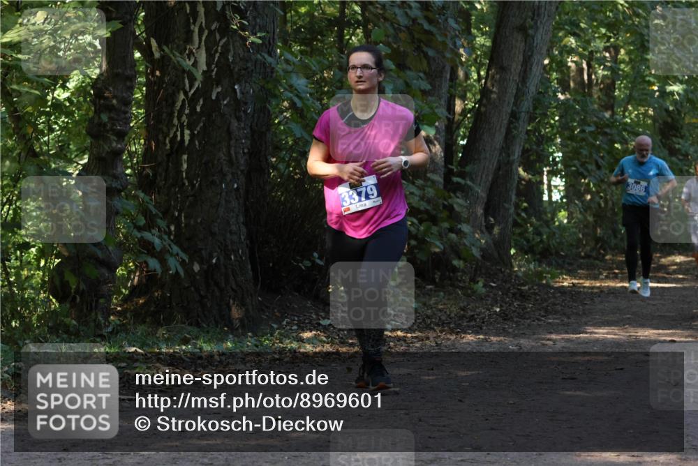28.09.2025 - 33. Volkslauf durch das schöne Alstertal Strokosch-Dieckow http://msf.ph/oto/8969601 28.09.2025 11:31:42 Laufen 3379, 3086 meine-sportfotos.de