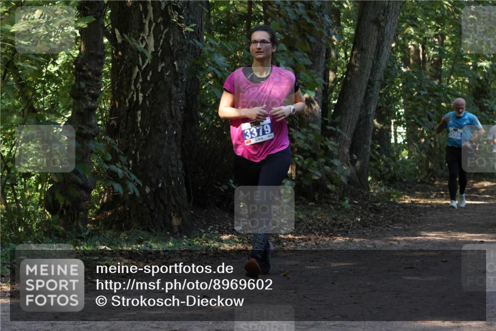 28.09.2025 - 33. Volkslauf durch das schöne Alstertal Strokosch-Dieckow http://msf.ph/oto/8969602 28.09.2025 11:31:42 Laufen 3379, 3086 meine-sportfotos.de
