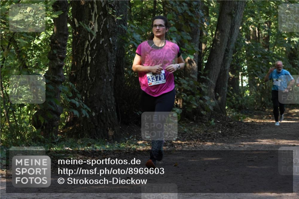 28.09.2025 - 33. Volkslauf durch das schöne Alstertal Strokosch-Dieckow http://msf.ph/oto/8969603 28.09.2025 11:31:42 Laufen 3379, 3086 meine-sportfotos.de