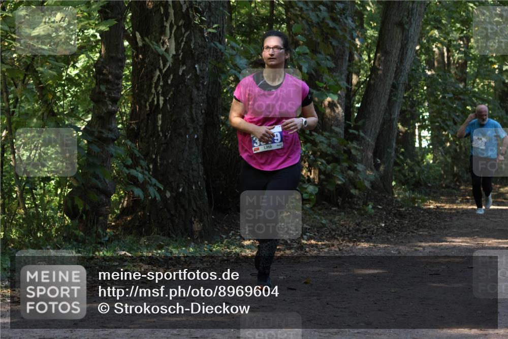 28.09.2025 - 33. Volkslauf durch das schöne Alstertal Strokosch-Dieckow http://msf.ph/oto/8969604 28.09.2025 11:31:43 Laufen 39, 3086 meine-sportfotos.de