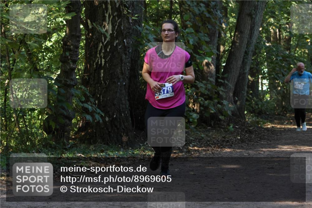 28.09.2025 - 33. Volkslauf durch das schöne Alstertal Strokosch-Dieckow http://msf.ph/oto/8969605 28.09.2025 11:31:43 Laufen 3379, 3086 meine-sportfotos.de