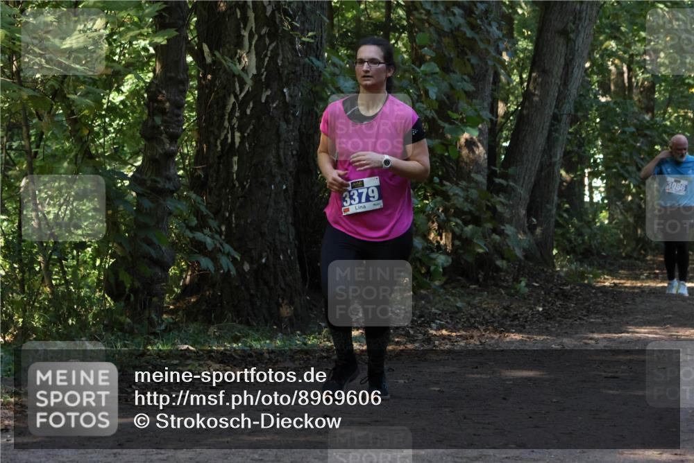 28.09.2025 - 33. Volkslauf durch das schöne Alstertal Strokosch-Dieckow http://msf.ph/oto/8969606 28.09.2025 11:31:43 Laufen 3379, 3086 meine-sportfotos.de