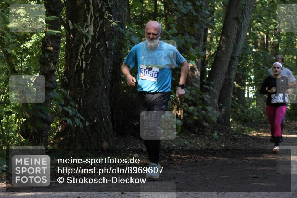 28.09.2025 - 33. Volkslauf durch das schöne Alstertal Strokosch-Dieckow http://msf.ph/oto/8969607 28.09.2025 11:31:48 Laufen 3086, 3397 meine-sportfotos.de