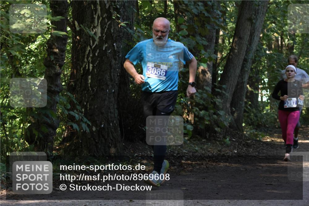 28.09.2025 - 33. Volkslauf durch das schöne Alstertal Strokosch-Dieckow http://msf.ph/oto/8969608 28.09.2025 11:31:48 Laufen 3086, 3397 meine-sportfotos.de