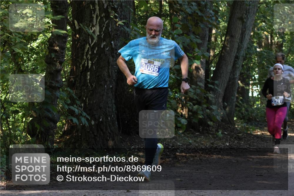 28.09.2025 - 33. Volkslauf durch das schöne Alstertal Strokosch-Dieckow http://msf.ph/oto/8969609 28.09.2025 11:31:48 Laufen 3086, 3397 meine-sportfotos.de