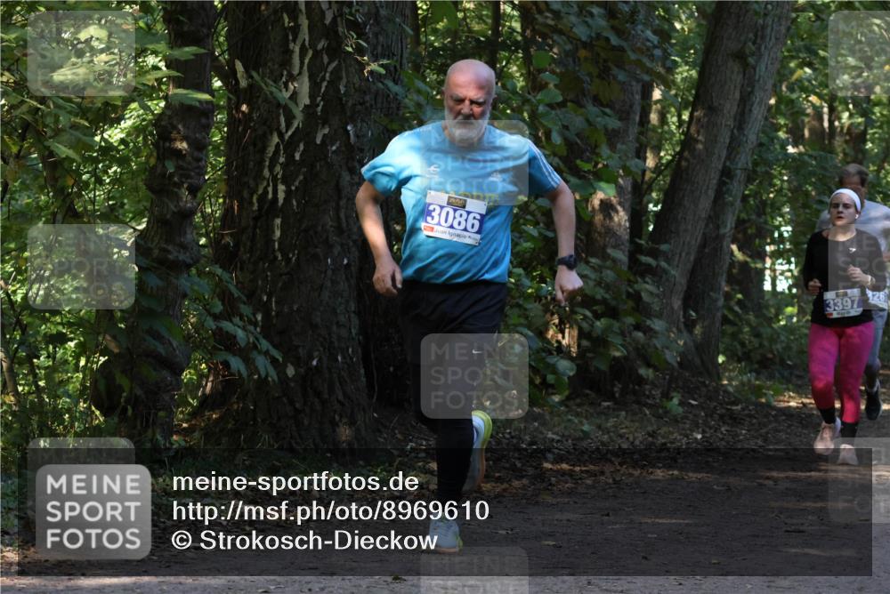 28.09.2025 - 33. Volkslauf durch das schöne Alstertal Strokosch-Dieckow http://msf.ph/oto/8969610 28.09.2025 11:31:48 Laufen 3086, 3397, 326 meine-sportfotos.de