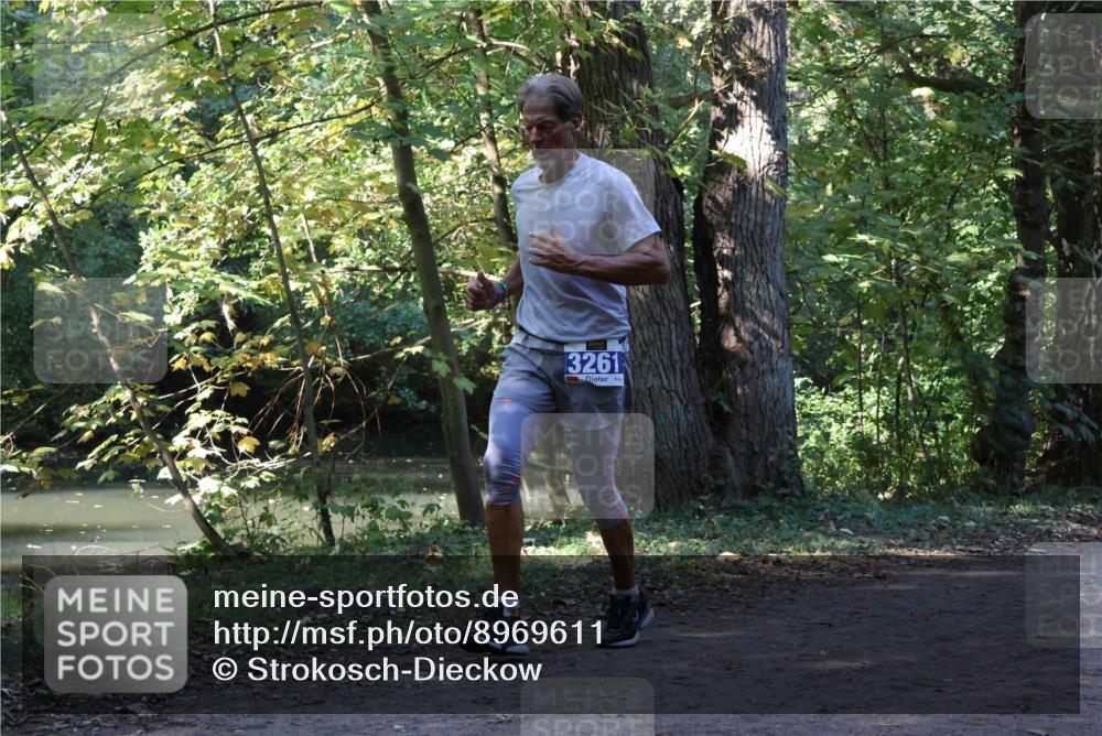 28.09.2025 - 33. Volkslauf durch das schöne Alstertal Strokosch-Dieckow http://msf.ph/oto/8969611 28.09.2025 11:31:55 Laufen 3261 meine-sportfotos.de