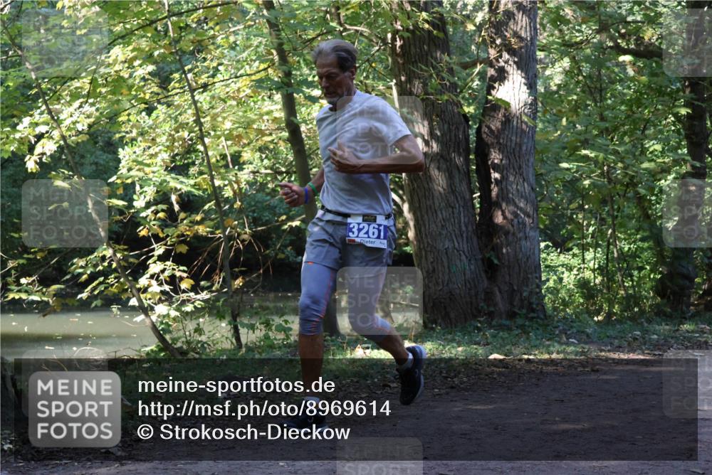 28.09.2025 - 33. Volkslauf durch das schöne Alstertal Strokosch-Dieckow http://msf.ph/oto/8969614 28.09.2025 11:31:55 Laufen 3261 meine-sportfotos.de