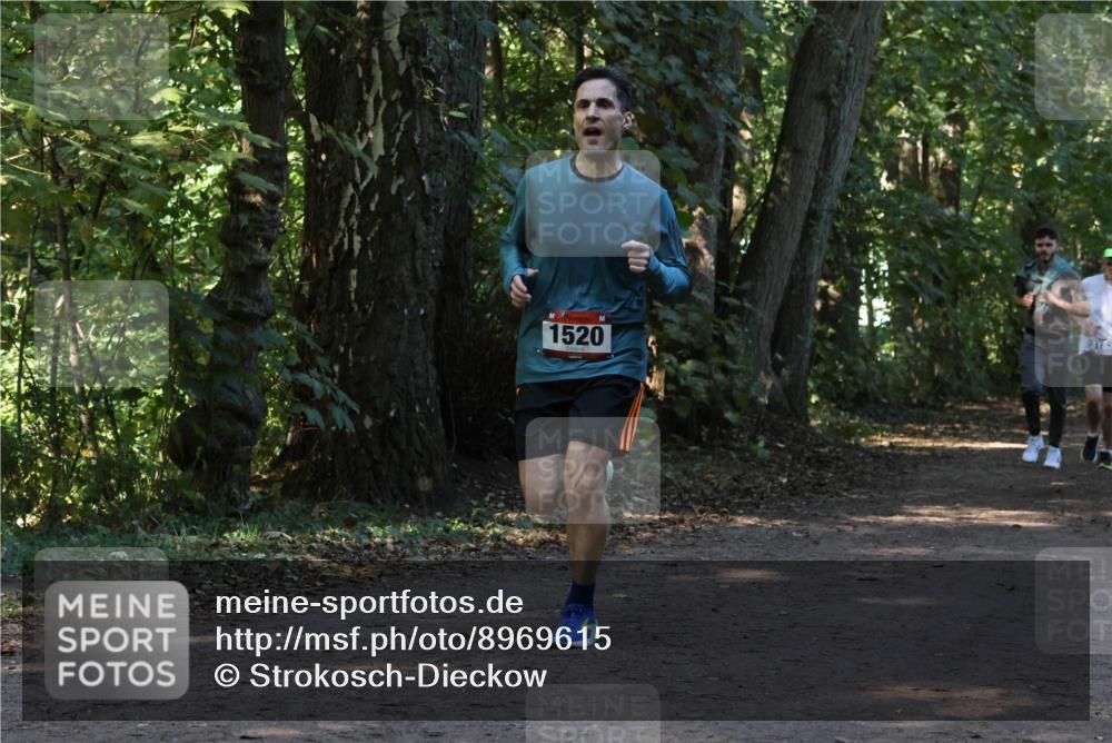 28.09.2025 - 33. Volkslauf durch das schöne Alstertal Strokosch-Dieckow http://msf.ph/oto/8969615 28.09.2025 11:31:59 Laufen 1520, 3182 meine-sportfotos.de