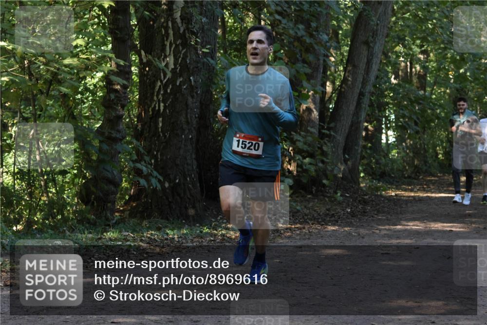 28.09.2025 - 33. Volkslauf durch das schöne Alstertal Strokosch-Dieckow http://msf.ph/oto/8969616 28.09.2025 11:31:59 Laufen 1520 meine-sportfotos.de